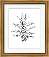 Framed 'Paynes Grey Botanicals II' border=