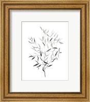 Framed 'Paynes Grey Botanicals III' border=