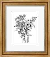 Framed 'Black & White Bouquet II' border=