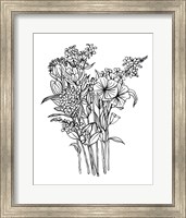 Framed 'Black & White Bouquet II' border=