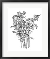 Black & White Bouquet II Framed Print