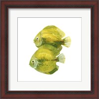 Framed 'Discus Fish II' border=