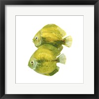 Discus Fish II Framed Print