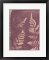 Botanical Sun I Framed Print