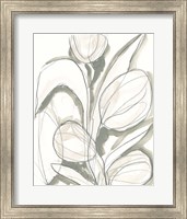 Framed 'Neutral Tropical II' border=