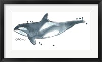 Framed Cetacea Orca Whale