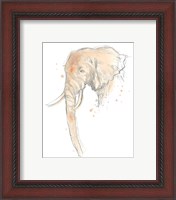 Framed 'Blush Savannah I' border=