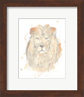 Framed 'Blush Savannah III' border=