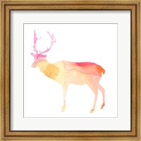 Framed 'Agate Animal V' border=