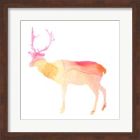 Framed 'Agate Animal V' border=