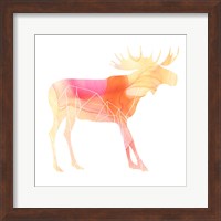 Framed 'Agate Animal VI' border=