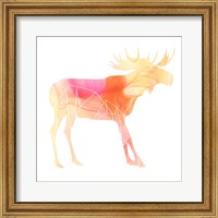 Framed 'Agate Animal VI' border=