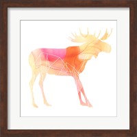 Framed 'Agate Animal VI' border=