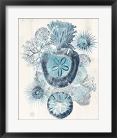 Coastal Melange I Framed Print