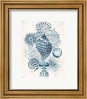 Framed 'Coastal Melange II' border=