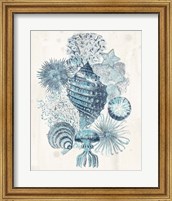 Framed 'Coastal Melange II' border=