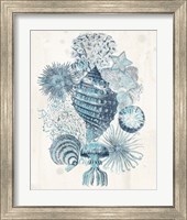 Framed 'Coastal Melange II' border=