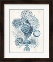 Framed 'Coastal Melange II' border=