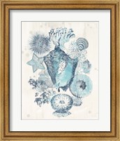 Framed 'Coastal Melange III' border=