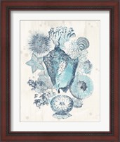 Framed 'Coastal Melange III' border=