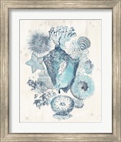 Framed 'Coastal Melange III' border=