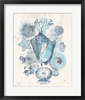 Framed 'Coastal Melange III' border=