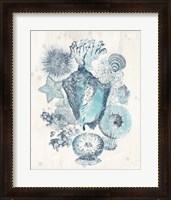 Framed 'Coastal Melange III' border=