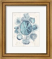 Framed 'Coastal Melange IV' border=