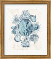 Framed 'Coastal Melange IV' border=