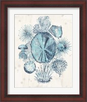 Framed 'Coastal Melange IV' border=