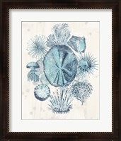 Framed 'Coastal Melange IV' border=