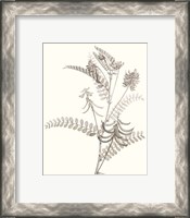 Framed 'Neutral Botanical Study VII' border=