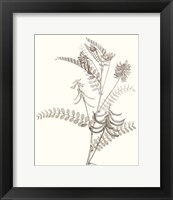 Framed 'Neutral Botanical Study VII' border=