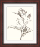 Framed 'Neutral Botanical Study VII' border=