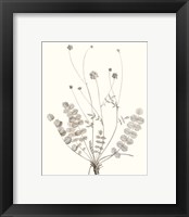 Framed 'Neutral Botanical Study IX' border=