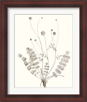 Framed 'Neutral Botanical Study IX' border=