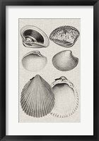 Charcoal & Linen Shells IX Framed Print