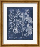 Framed 'Besler Leaves in Indigo I' border=