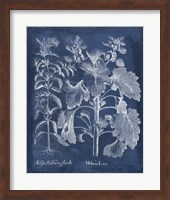 Framed Besler Leaves in Indigo I