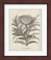 Framed 'Fresco Artichoke I' border=