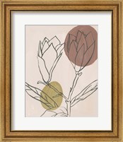 Framed 'Blush I' border=