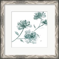 Framed 'Traces of Flowers IV' border=