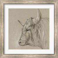 Framed 'Bison Sketch II' border=