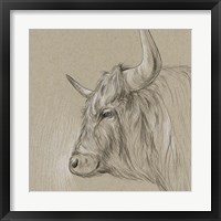 Framed 'Bison Sketch II' border=