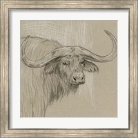 Framed 'Longhorn Sketch II' border=