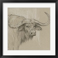 Framed 'Longhorn Sketch II' border=