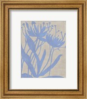 Framed 'Dusk Botanical VI' border=