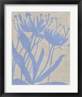 Framed 'Dusk Botanical VI' border=