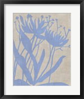 Framed 'Dusk Botanical VI' border=