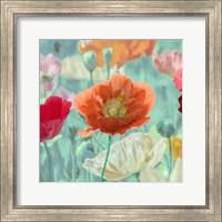 Framed 'Poppies in Bloom I' border=